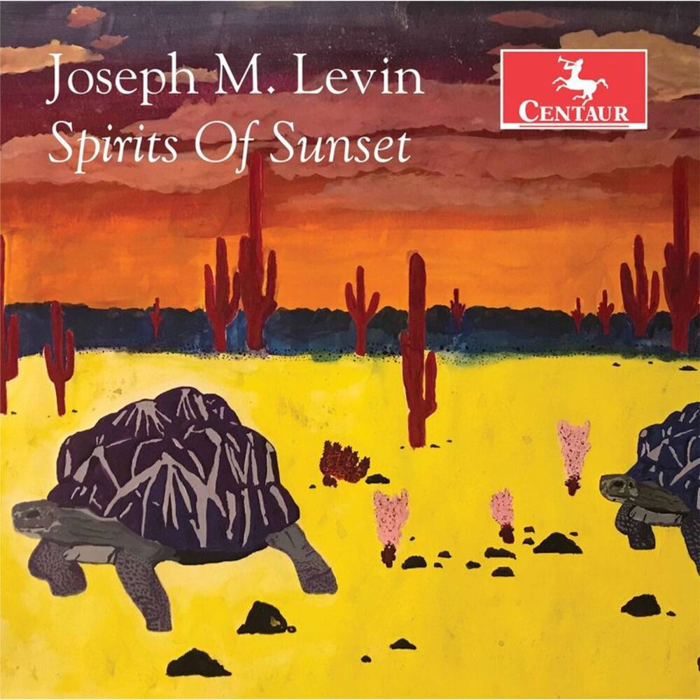 Various - Spirits of Sunset  CD